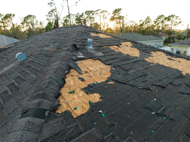 Best Roof Maintenance and Cleaning  in USA